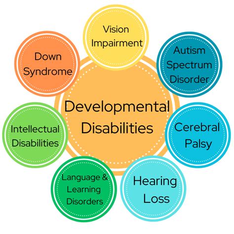 fsdss 478|Chapter 347 – Persons With Developmental Disabilities .